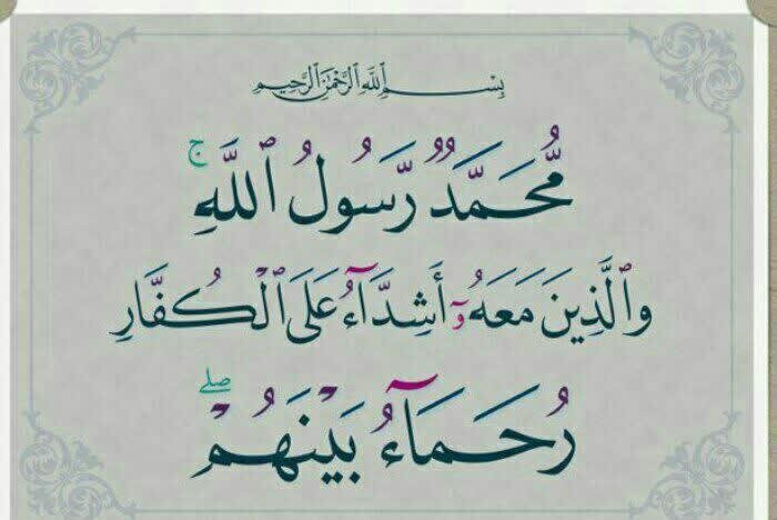 آیه 29 سوره فتح؛ راه یاران محمد(ص) + صوت