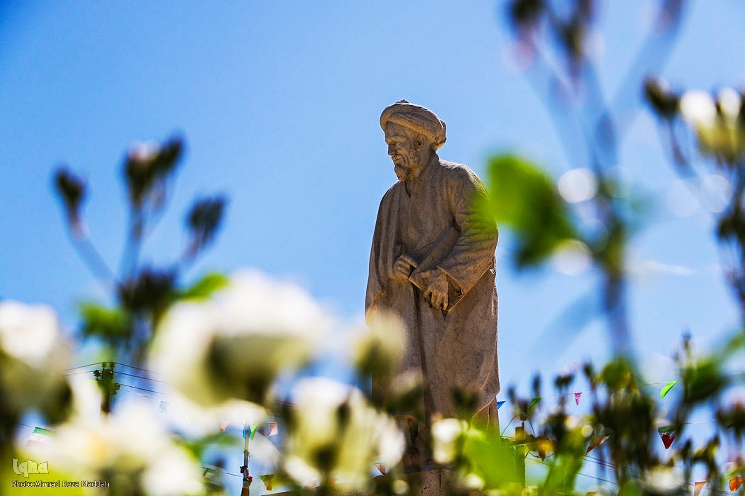 دکتر محمود عابدی