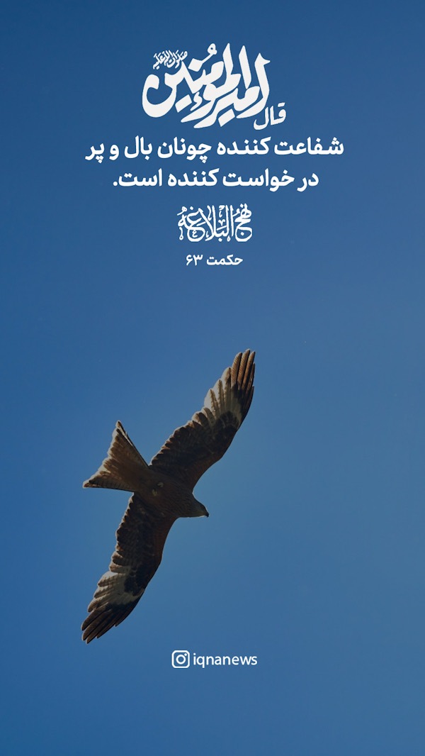 حکمت نهج البلاغه