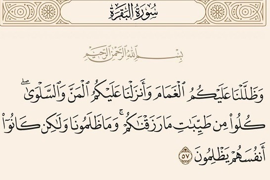 ستمی که عهدشکنان با امام حسین(ع) به خود کردند