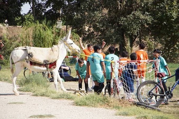 آماده انتشار پنجشنبه 17 مهر///زنگ خطر جدی عقب‌گرد سینمای کودک/ لزوم هوشمندی در برساخت مفهوم نوجوان امروز با زبان هنر+صوت