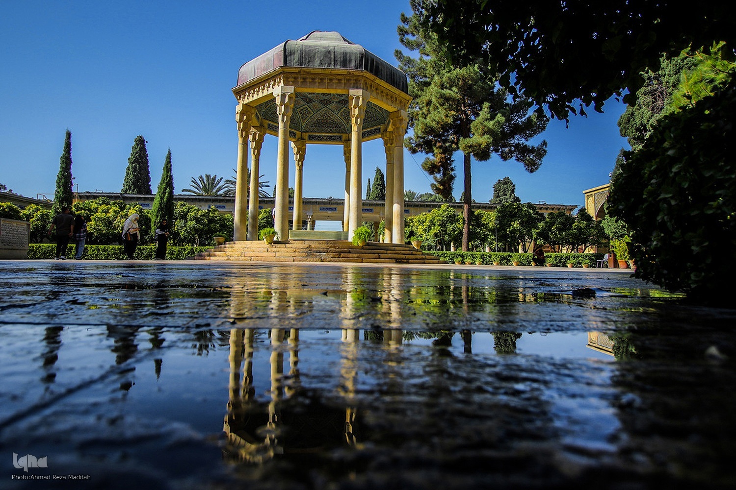 درست زیستن امروزه بیشتر از زبان نیاز به درک اندیشه حافظ دارد+صوت