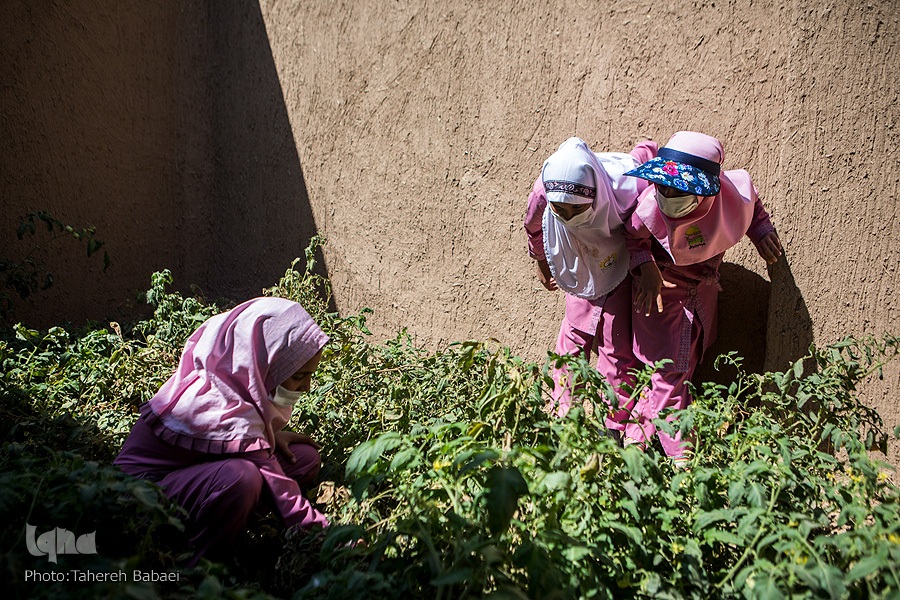 ابتلای کودکان ایران به 2 نوع سوء‌تغذیه