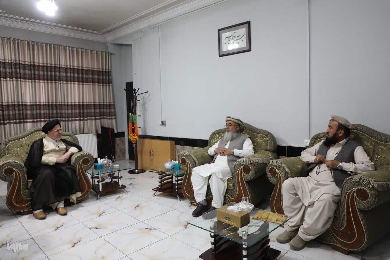 پرفسور مرتضی حامد، استاد دانشگاه رنا