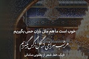 طرح | سراغی از گل نرگس بگیریم