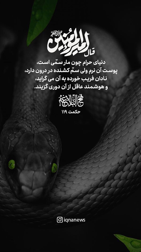 حکمت نهج البلاغه