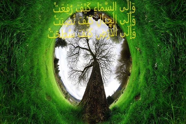 شنبه/ تمرکز بر چرخه‌ها، نه خطوط: پیام بوم‌شناختی عمیق قرآن