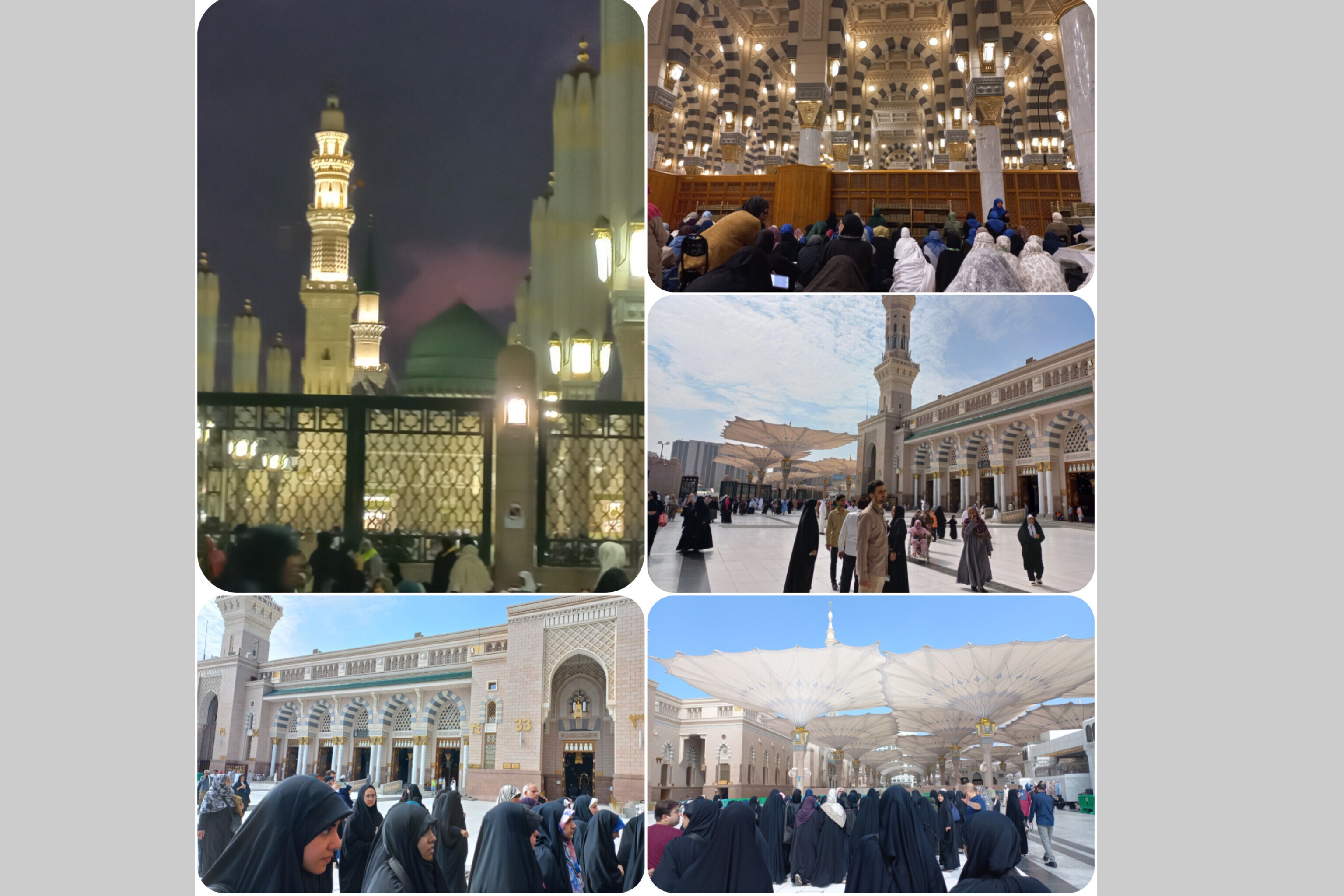 دل‌های بی‌قرار در سایه گنبد خضرای نبوی