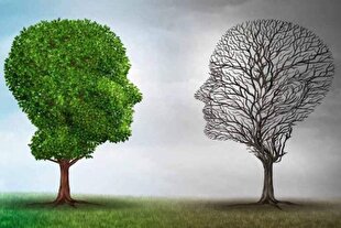 بازی با سلامت روان نسل جوان در عصر لایک و فالو