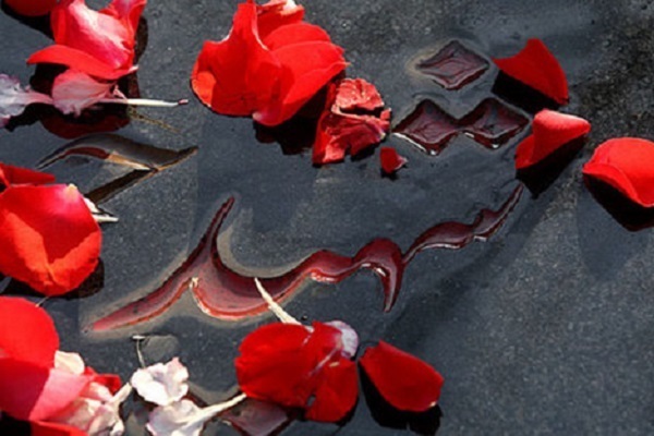 قرآنیانی که امسال از عرش بوسه بر دست مادرانشان می‌زنند