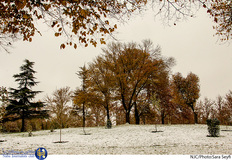 بارش برف پاییزی در تهران