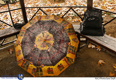 بارش برف پاییزی در تهران