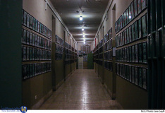 آزادی رایگان نیست