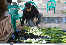 نامگذاری پل كاروانسرای سنگی به نام شهيد محمدتقی ارغوانی 