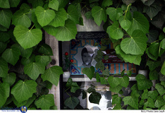 آخرین پنجشنبه سال در بهشت زهرا (س)