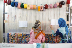 سیده ناهید حسینی کارآفرین