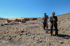 پیران و جوانان عشایر به زندگی عادت کرده اند