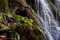 آبشار زیبای اوبن