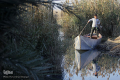 تالابی بدون آب