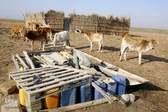 تالابی بدون آب