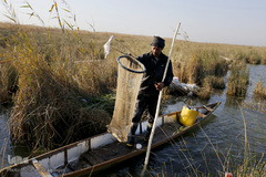 تالابی بدون آب