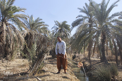 تالابی بدون آب