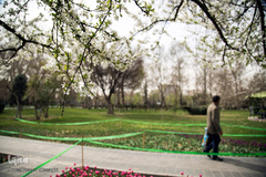 بهار، جلوه گاه پروردگار