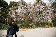 بهار، جلوه گاه پروردگار