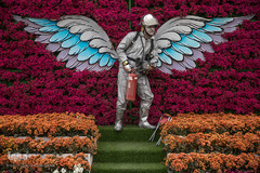 نمادهای شهری نوروز در مشهد
