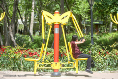 رویش در باغ ایرانی