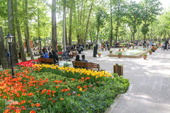 رویش در باغ ایرانی