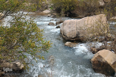 طبیعت بهاری بستان آباد