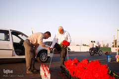 دیدار اهل قبور یکی از کارهایی است که حاج ولی به آن می پردازد