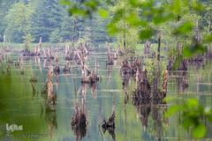 دریاچه ارواح