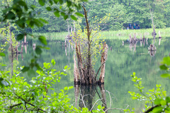 دریاچه ارواح