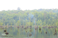 دریاچه ارواح