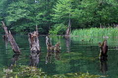 دریاچه ارواح