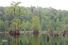 دریاچه ارواح