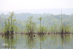 دریاچه ارواح