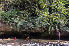 جنگل و رودخانه پلنگ دره