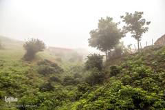 ييلاق اولس بلنگاه در ماسال