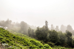 ييلاق اولس بلنگاه در ماسال