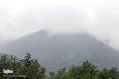 ييلاق اولس بلنگاه در ماسال