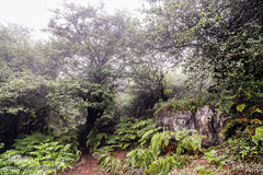 ييلاق اولس بلنگاه در ماسال