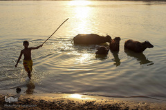 اینجا گاومیش‌آباد؛ محرومیت در خاک و آب و کسب روزی حلال