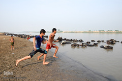 اینجا گاومیش‌آباد؛ محرومیت در خاک و آب و کسب روزی حلال