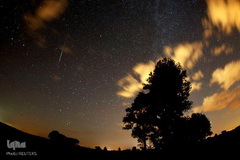 بارش شهابی برساوشی