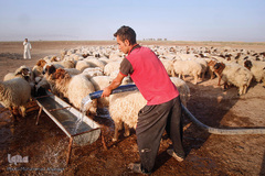 آبرسانی به روستاهای هویزه