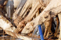 آبرسانی به روستاهای هویزه