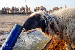 آبرسانی به روستاهای هویزه
